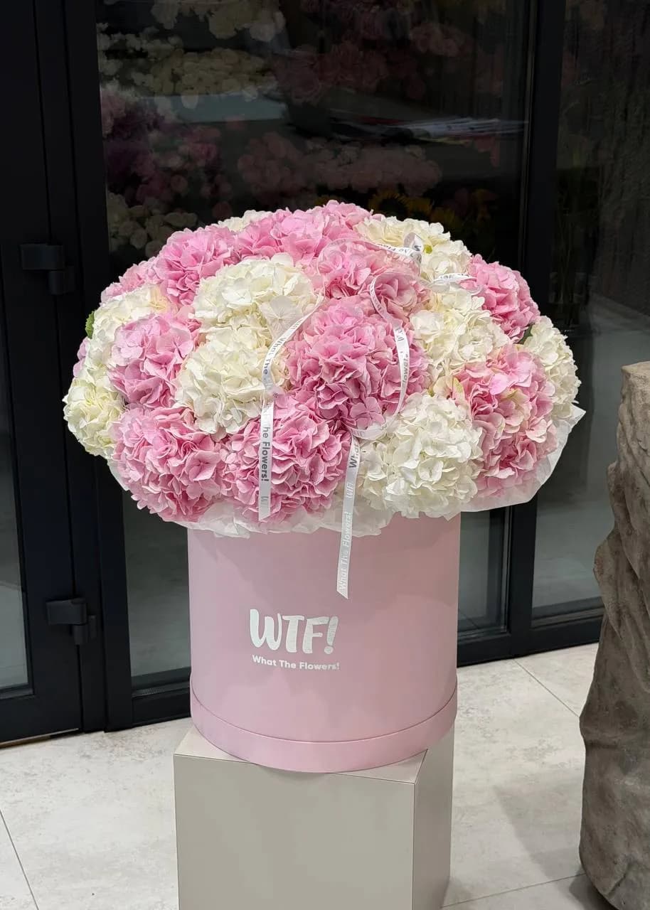 Hydrangea Blush Box — designer bouquet by WTF! Dnipro