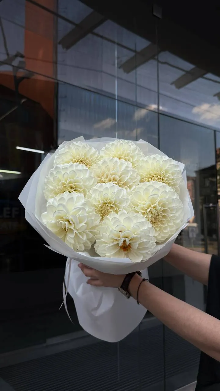 White Dahlia Sphere — авторський букет від WTF! Дніпро